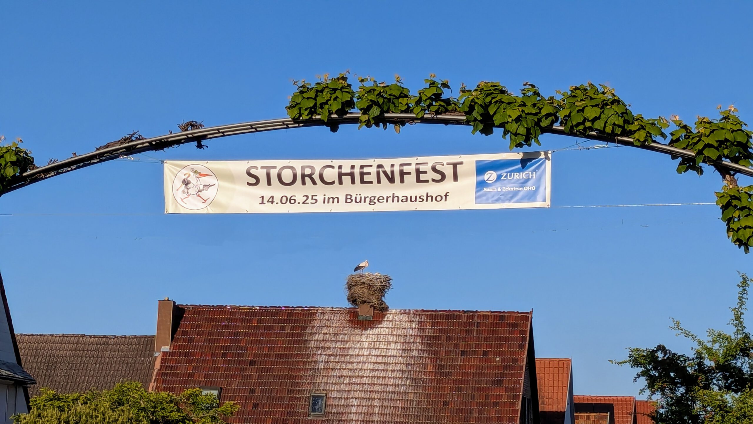 Du betrachtest gerade Storchenpaten gesucht