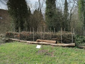 Mehr über den Artikel erfahren Benjeshecke errichtet