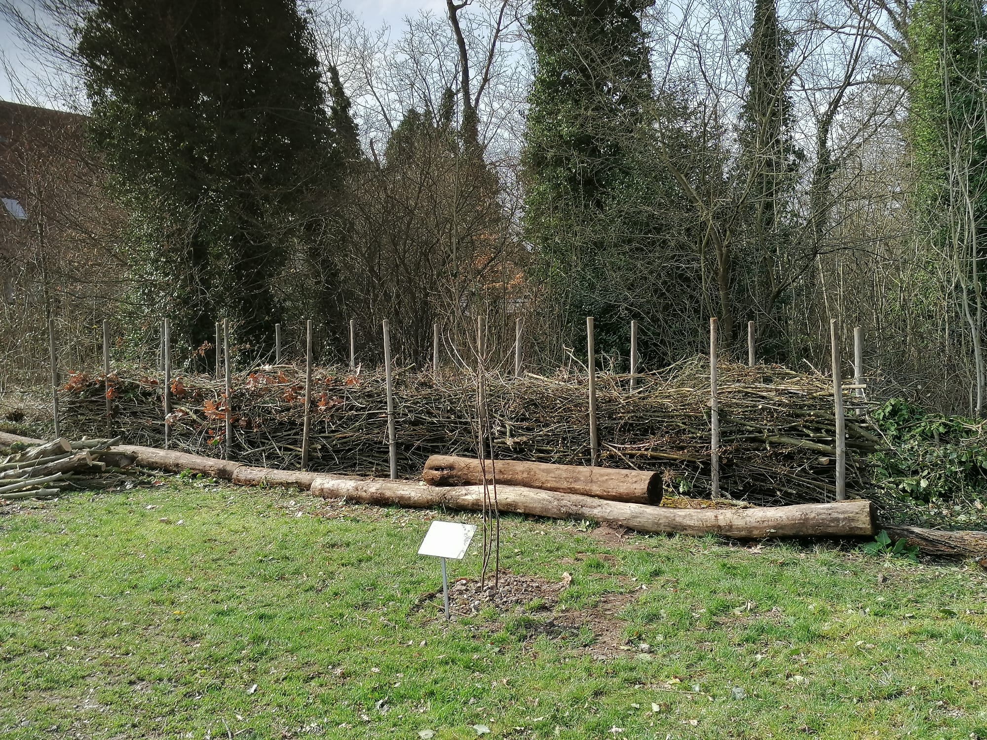 Du betrachtest gerade Benjeshecke errichtet