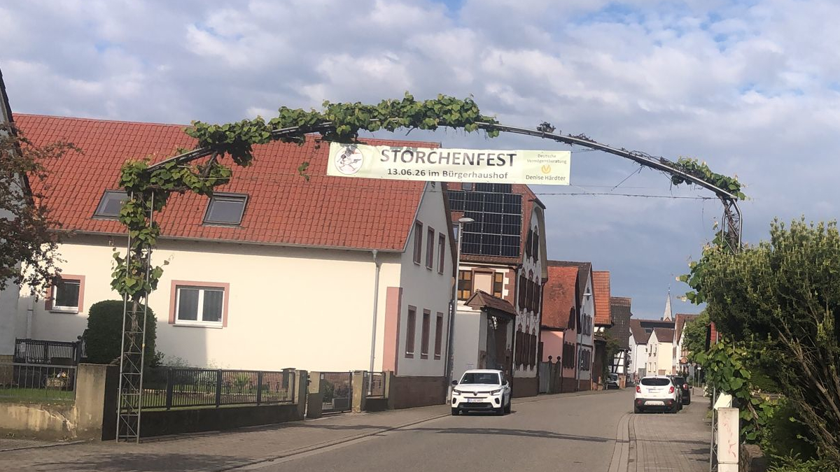 Mehr über den Artikel erfahren Storchenpaten 2026 gesucht